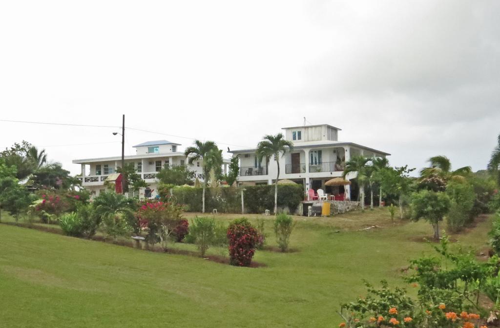 Great Escape And Breakfast Inn Vieques Eksteriør billede