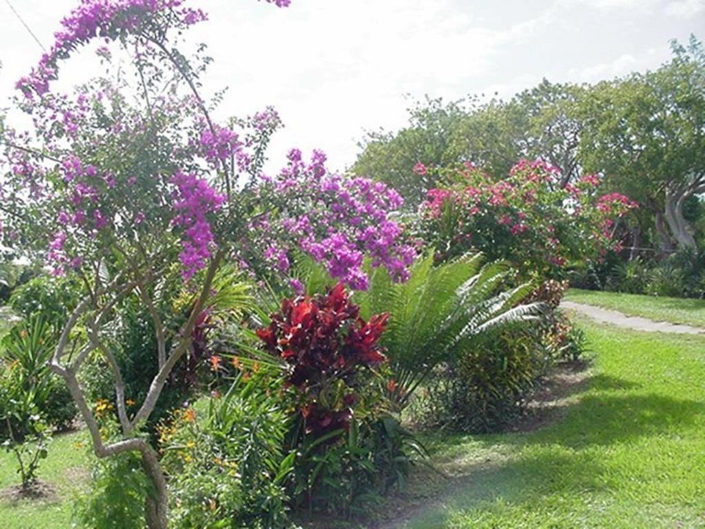 Great Escape And Breakfast Inn Vieques Eksteriør billede